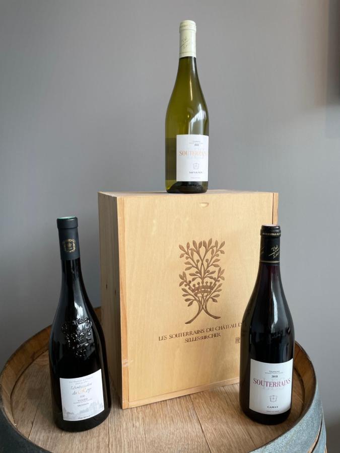 Gites Des Chateaux - Gite A Selles-sur-Cher Eksteriør bilde